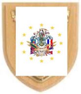 Shield sample